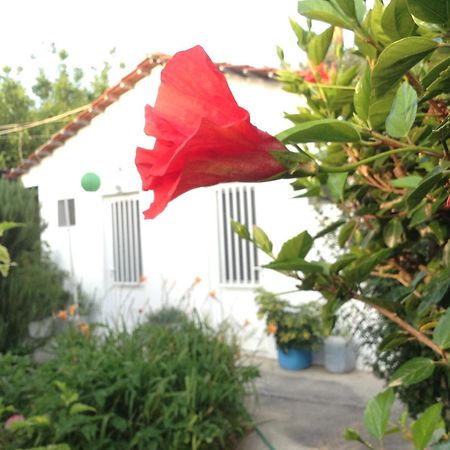Pension Zoi Колимбия Экстерьер фото